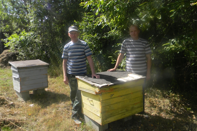 Пчеловодство видео