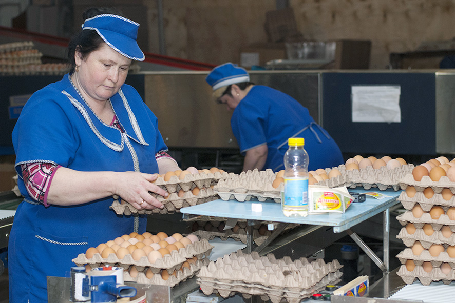 Яйца в Ивановской области за год подорожали на 42%.