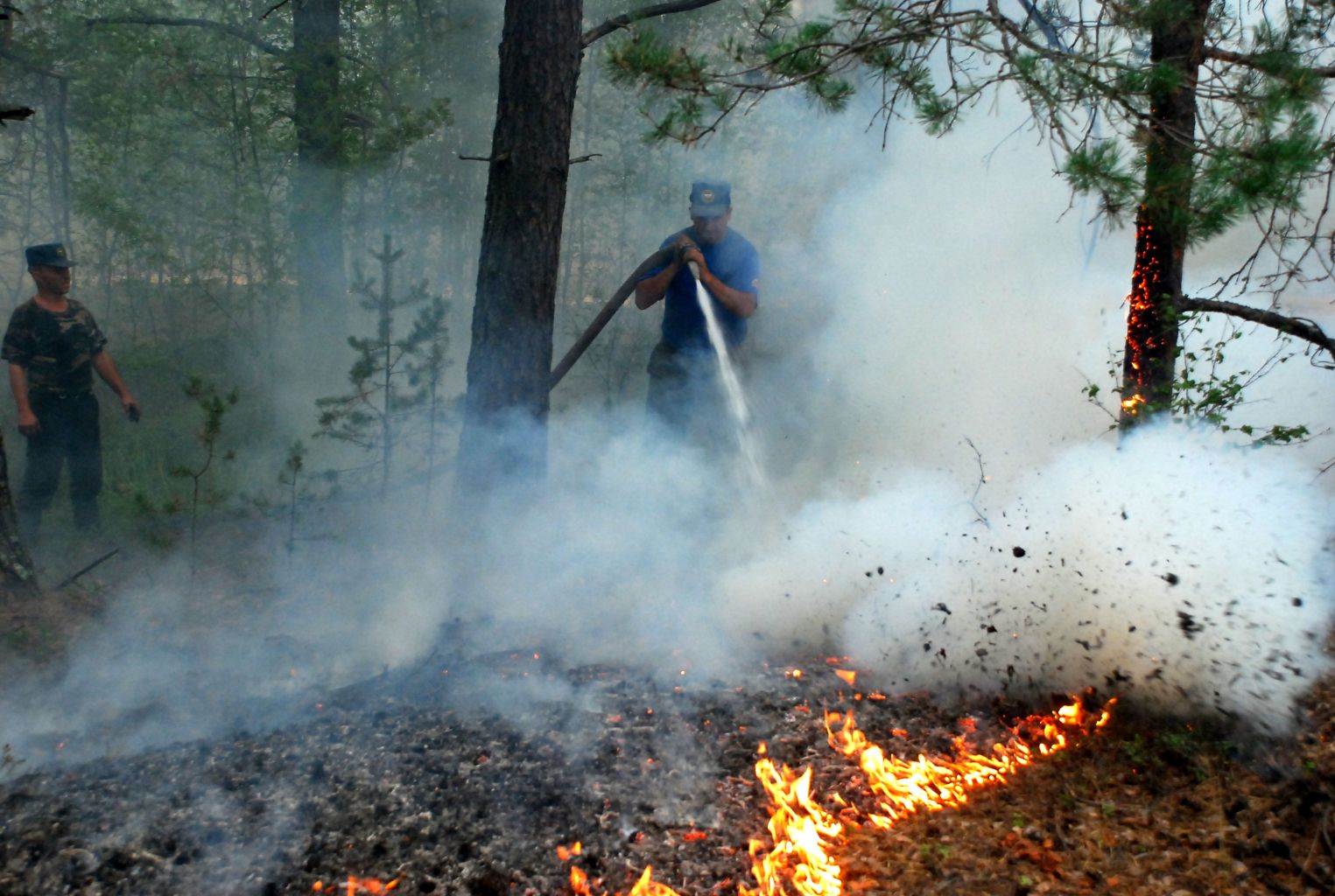 С 26 апреля в Ивановской области вводится противопожарный режим