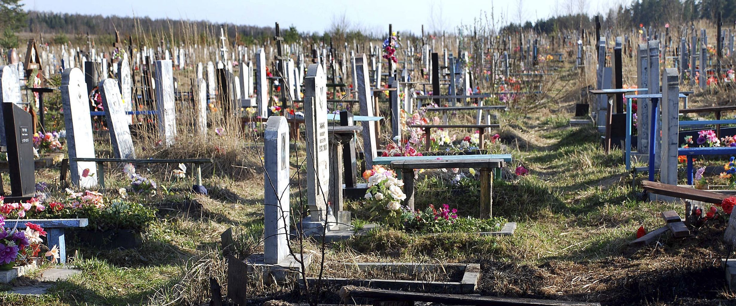 Прокуратура нашла нарушения при передаче земли под кладбище в Бибиреве