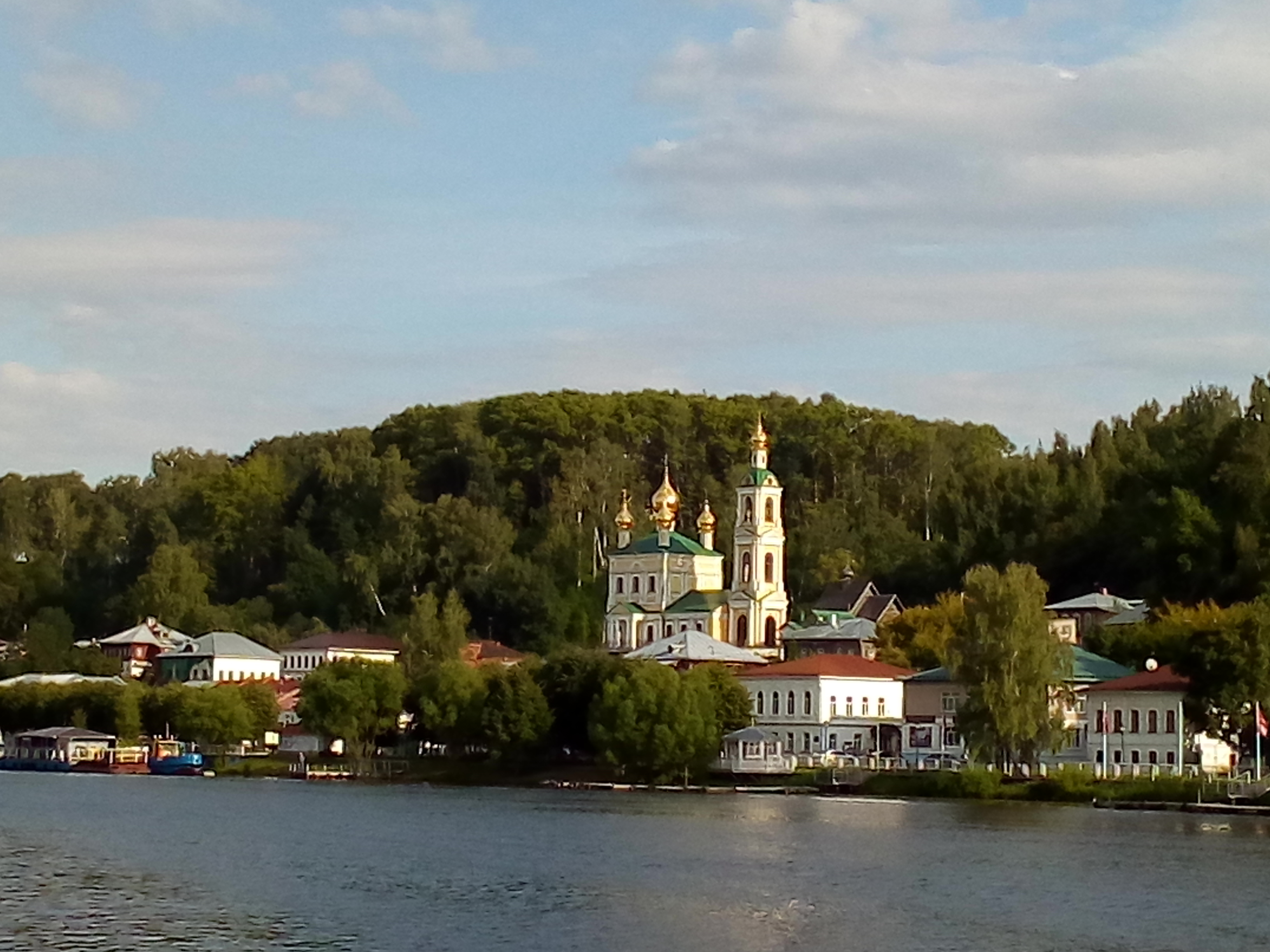 В Плёсе спилили около сотни старых деревьев