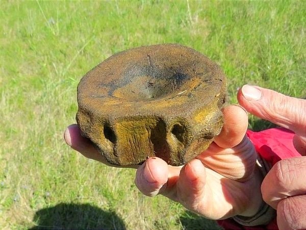 В Юрьевецком районе школьники нашли позвонок ихтиозавра